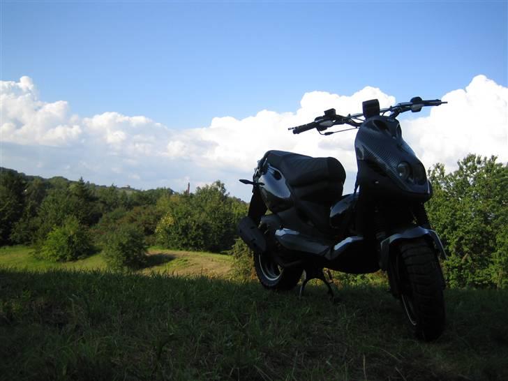 PGO Pmx Naked Carbon billede 6