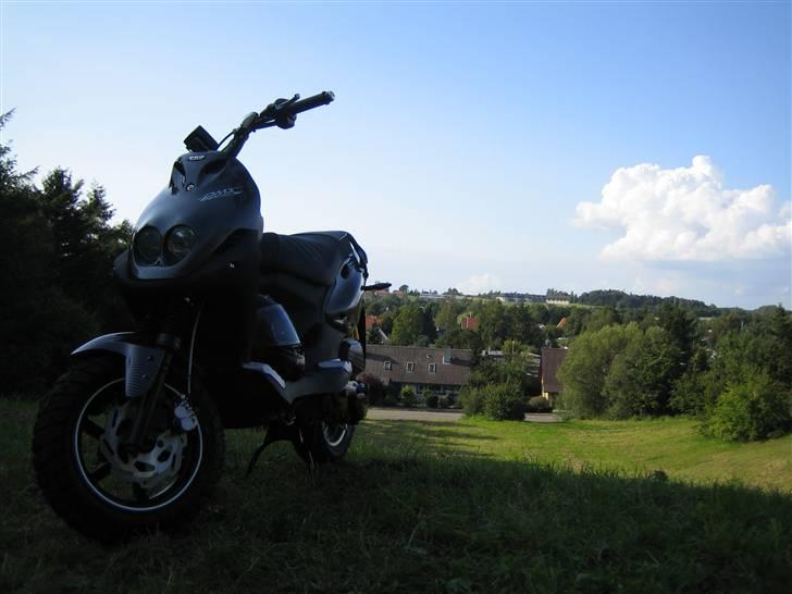 PGO Pmx Naked Carbon billede 9