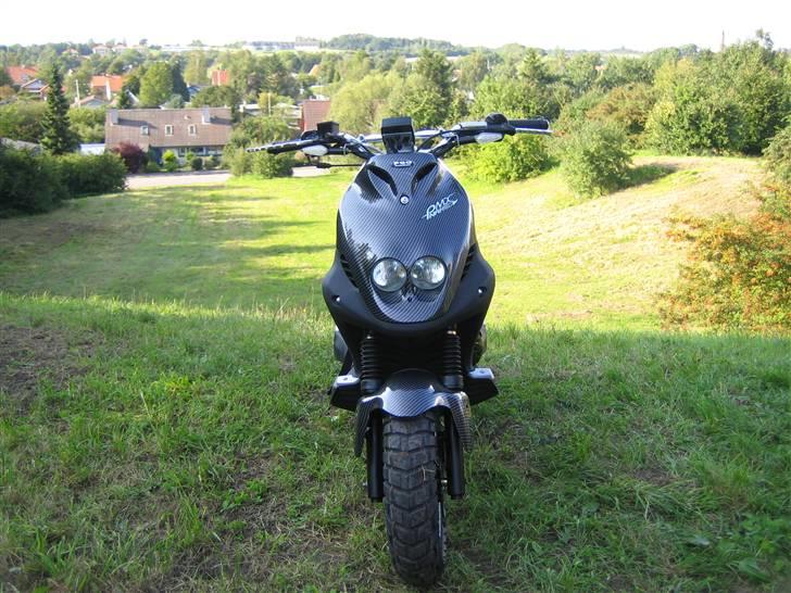 PGO Pmx Naked Carbon billede 11