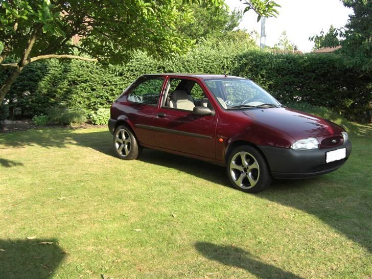 PGO Hot 50 SOLGT - min baby billede 14