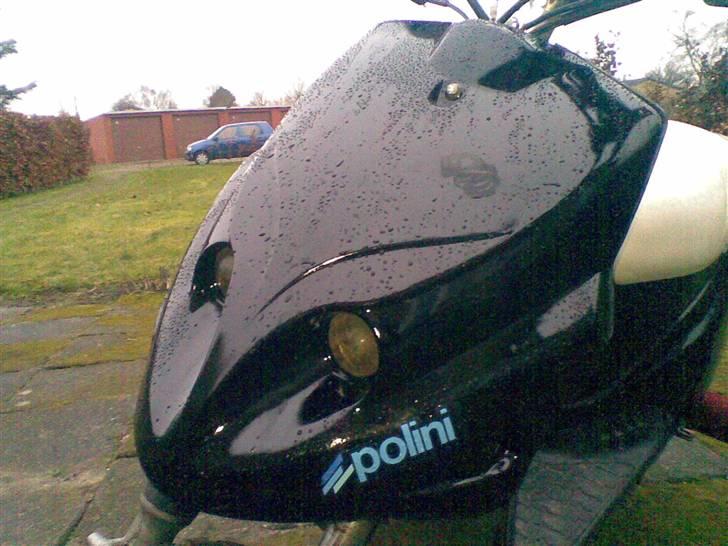 PGO Polini EVO Hot (BYTTET) billede 3