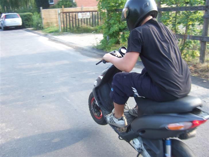 Gilera stalker byttet billede 15