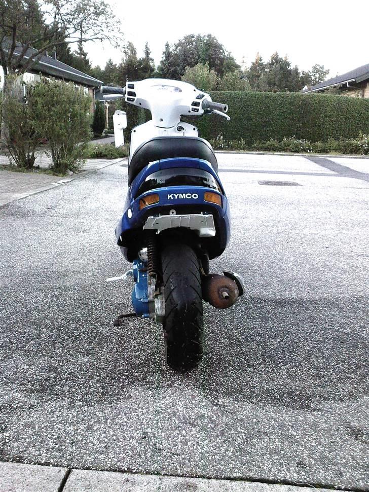 Kymco fever billede 3