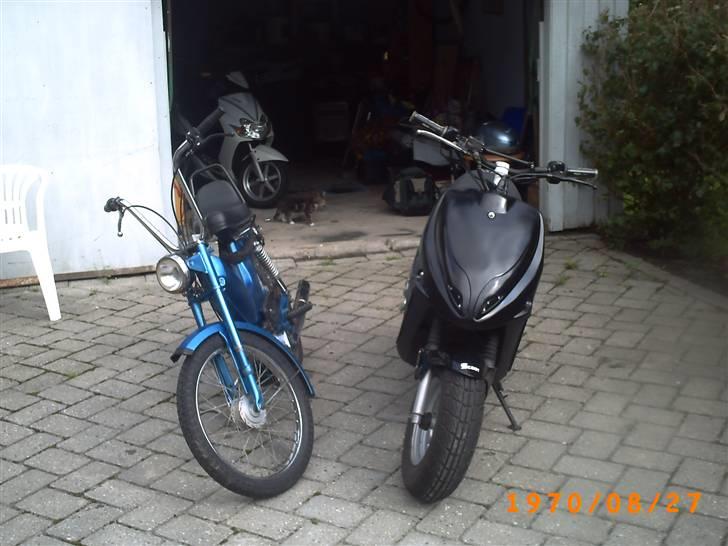Puch Maxi 2 Gear ** SOLGT ** - Puchen, Racer Hotten, og i baggrunde, den flotte jog r og katten ;D billede 8