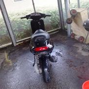Piaggio Typhon Byttet