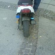 PGO Hot 50 Så er dyret hjemme