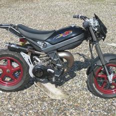 Suzuki street magic ((byttet))