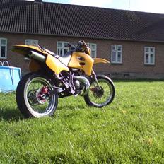 Suzuki SMX ( The Thunderstuck )