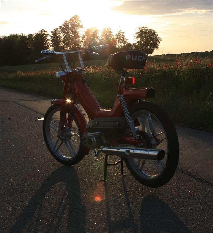 Puch Maxi Kl (Den Røde Baron) - efter billede 10