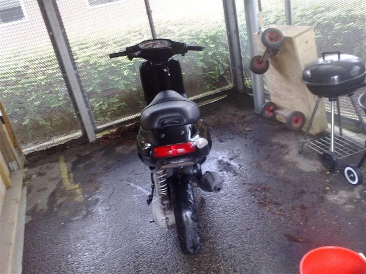 Piaggio Typhon Byttet - Det er så maskinen bagfra ;) billede 4