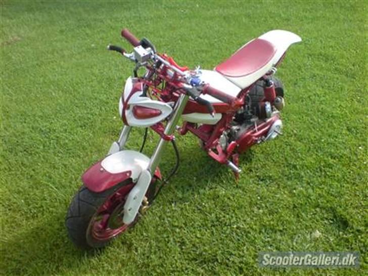 Suzuki street magic billede 1