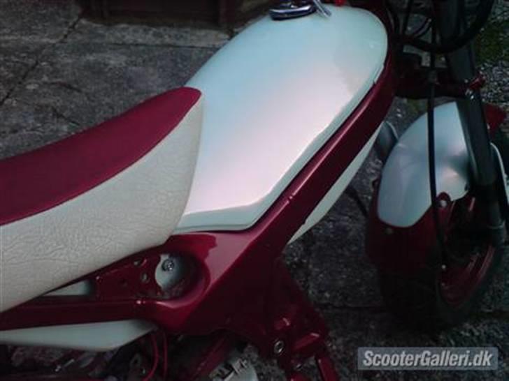 Suzuki street magic billede 3