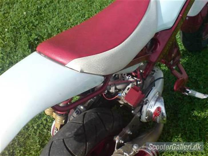 Suzuki street magic billede 5