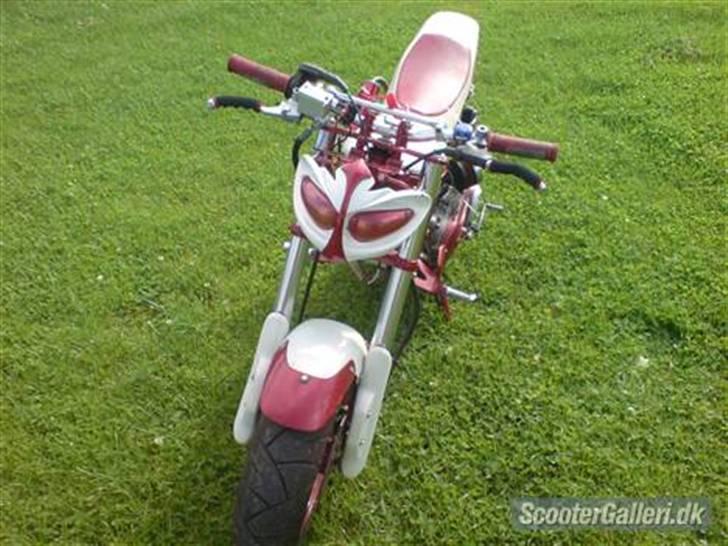 Suzuki street magic billede 6