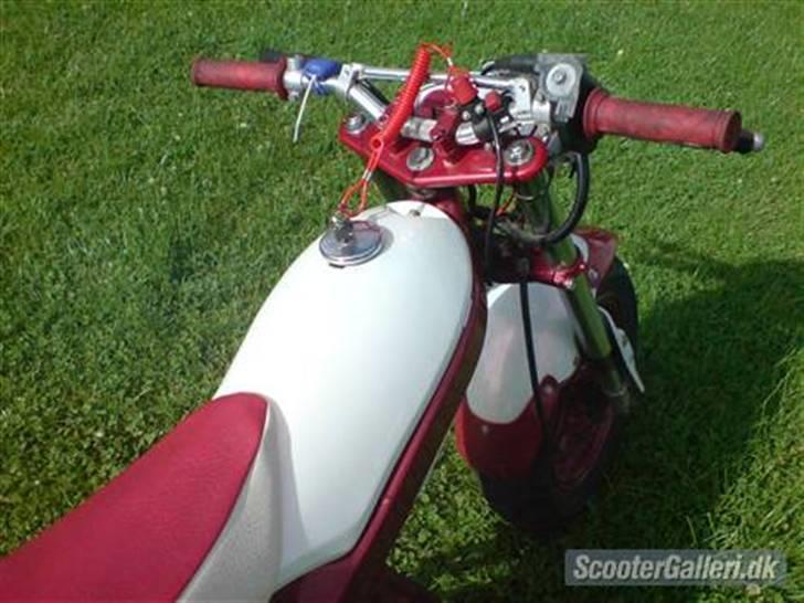 Suzuki street magic billede 7