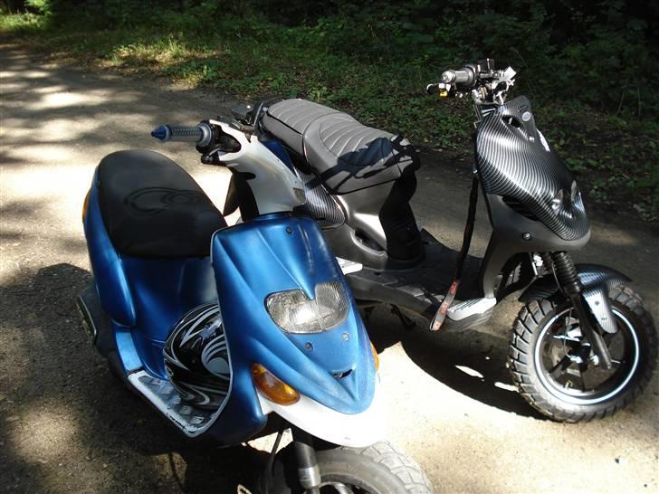 PGO Pmx Naked Carbon billede 13