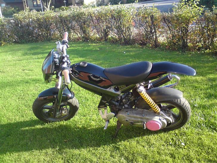 Suzuki street magic - ssm  - fra siden på plænen billede 3