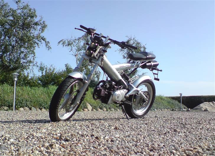 Sachs madass solgt billede 2