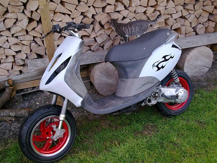 Piaggio New zip Væk :'( <3 † billede 3