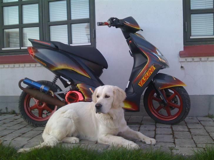 Yamaha JOG R Airbrush SOLGT! - taget den 3/4 2009 billede 1