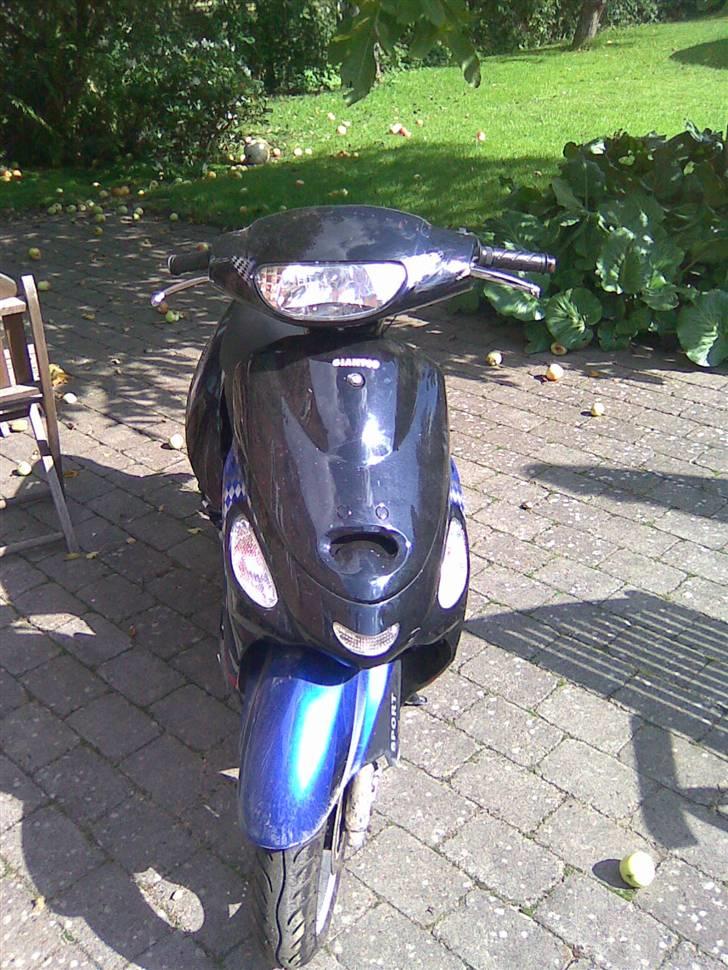 Giantco Sprint SOLGT billede 2