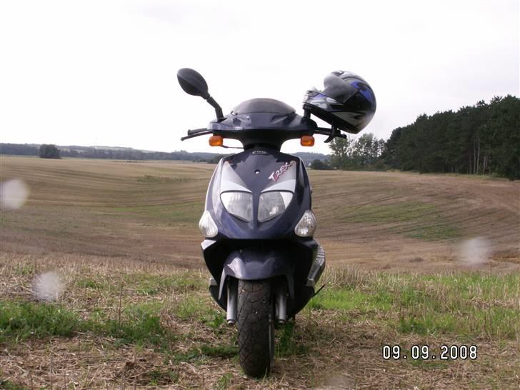 PGO T-REX 45  tilsalg billede 2