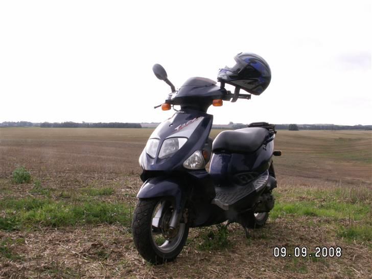 PGO T-REX 45  tilsalg billede 7