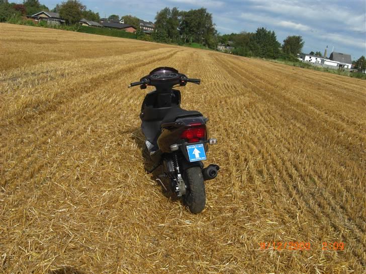 PGO Dr Big Kamælion  billede 4