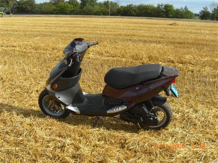 PGO Dr Big Kamælion  billede 6