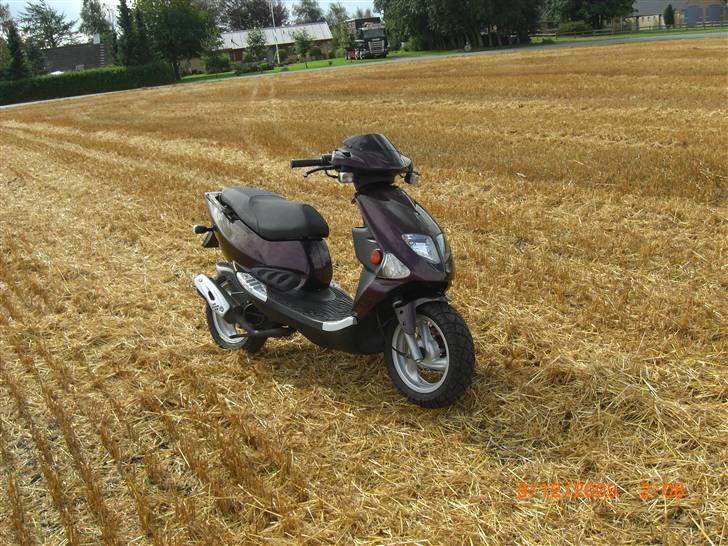 PGO Dr Big Kamælion  billede 7