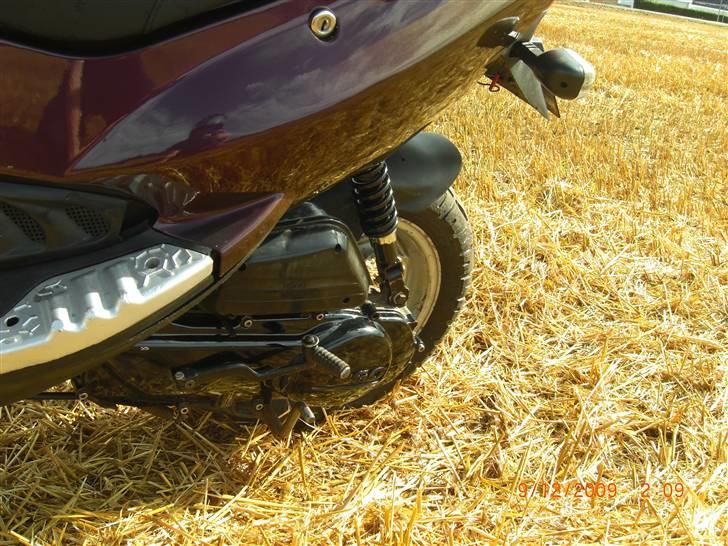 PGO Dr Big Kamælion  billede 8