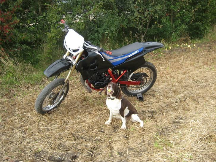 Suzuki Smx LC DD (Solgt) - så er der installeret vagt vovse :D billede 8