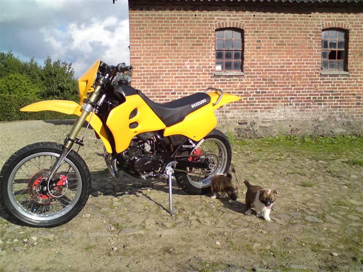 Suzuki SMX ( The Thunderstuck ) billede 2
