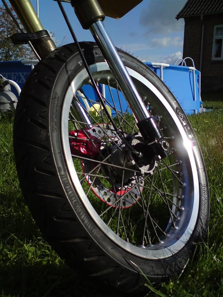 Suzuki SMX ( The Thunderstuck ) billede 5