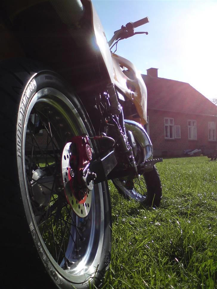 Suzuki SMX ( The Thunderstuck ) billede 6