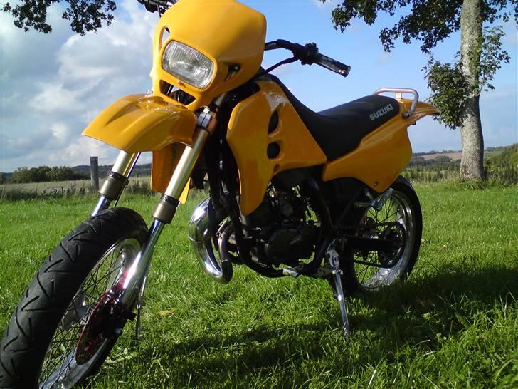 Suzuki SMX ( The Thunderstuck ) billede 9