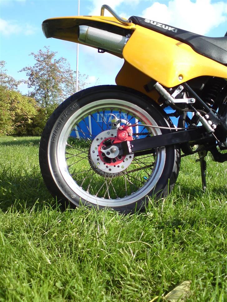 Suzuki SMX ( The Thunderstuck ) billede 12