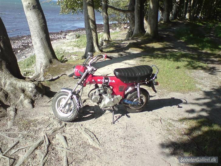 Skyteam honda dax (solgt) billede 3