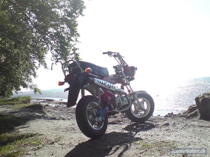 Skyteam honda dax (solgt) billede 5