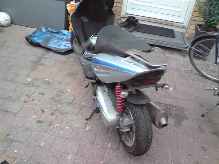 CPI Oliver [Solgt] - Striber har han fået :O billede 2