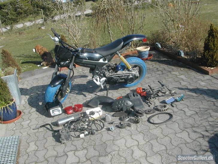 Suzuki Street magic billede 2