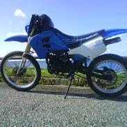 Suzuki RMX