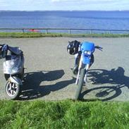 Suzuki RMX