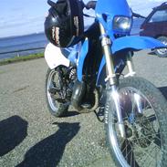 Suzuki RMX