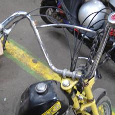 Veteraner bronco starflite