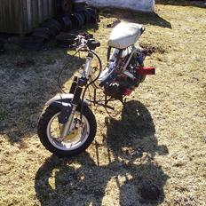 Suzuki Fz 50/Hot 50 Byttet