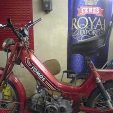 Tomos Den højtlydene Hollænder