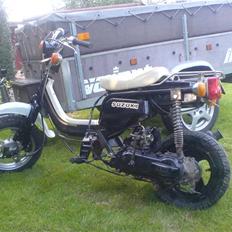 Suzuki Fz/sfx byttet.