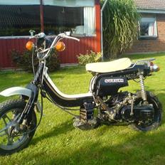 Suzuki Fz/sfx byttet.