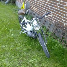 Puch Maxi (90%) "Fear of ice"